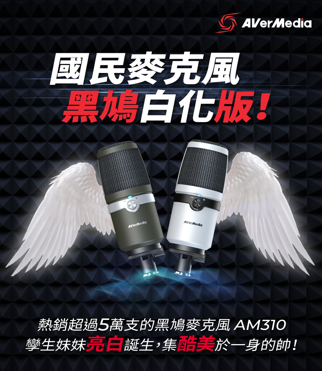 AVerMedia 圓剛黑鳩直播錄音麥克風白AM310-耳機｜麥克風專館- EcLife良